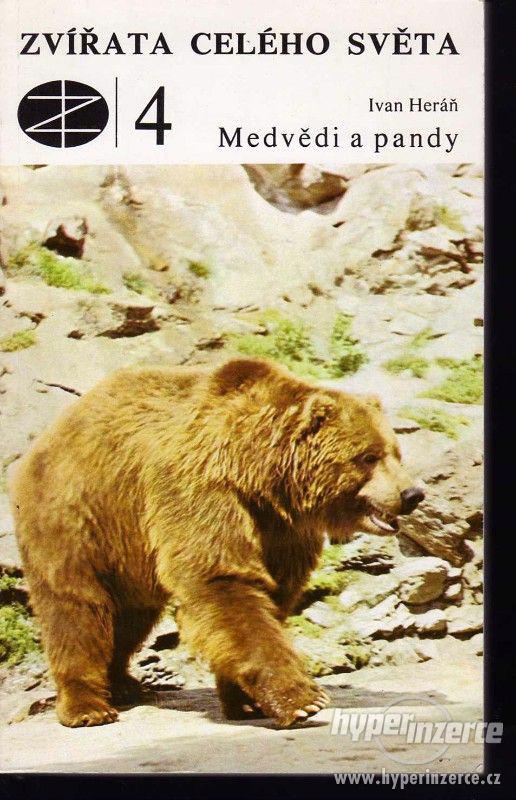 Medvědi a pandy  Ivan Heráň 1978 - 1. vydání  Poutavou formo - foto 1