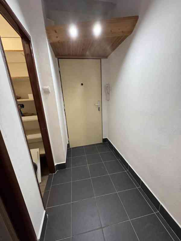 Pronájem bytu 1+1 44 m² - foto 10