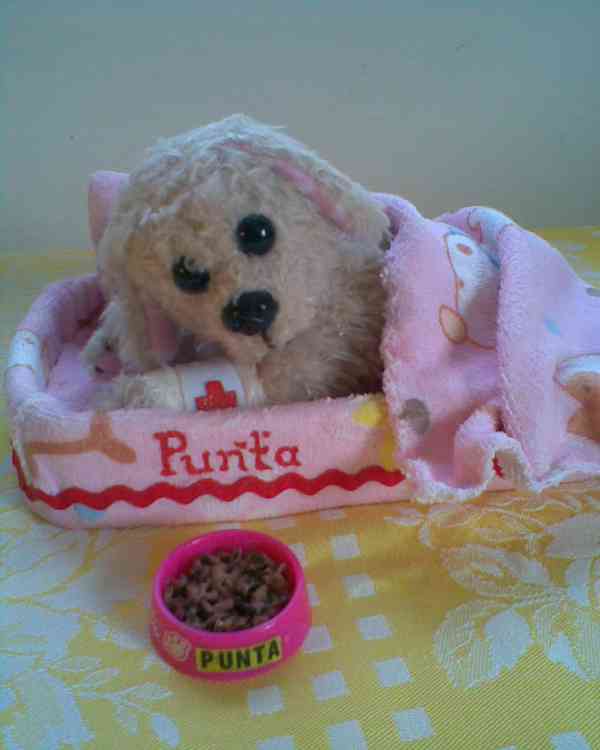 Různé levné pro holčičku - foto 5