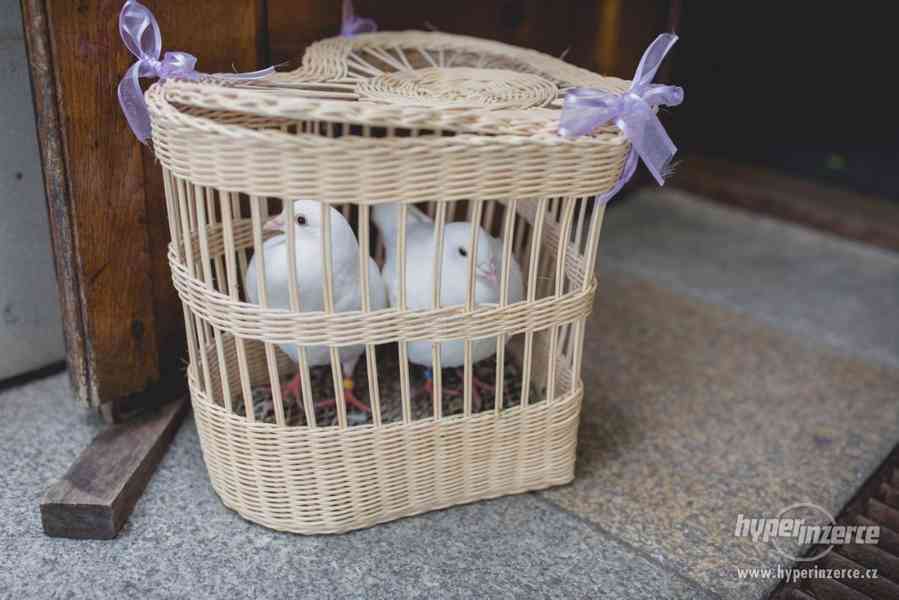 Svatební holoubci - foto 2