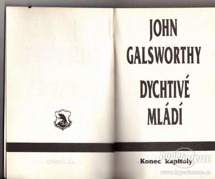 John Galsworthy - Dychtivé mládí - 1992 - foto 1