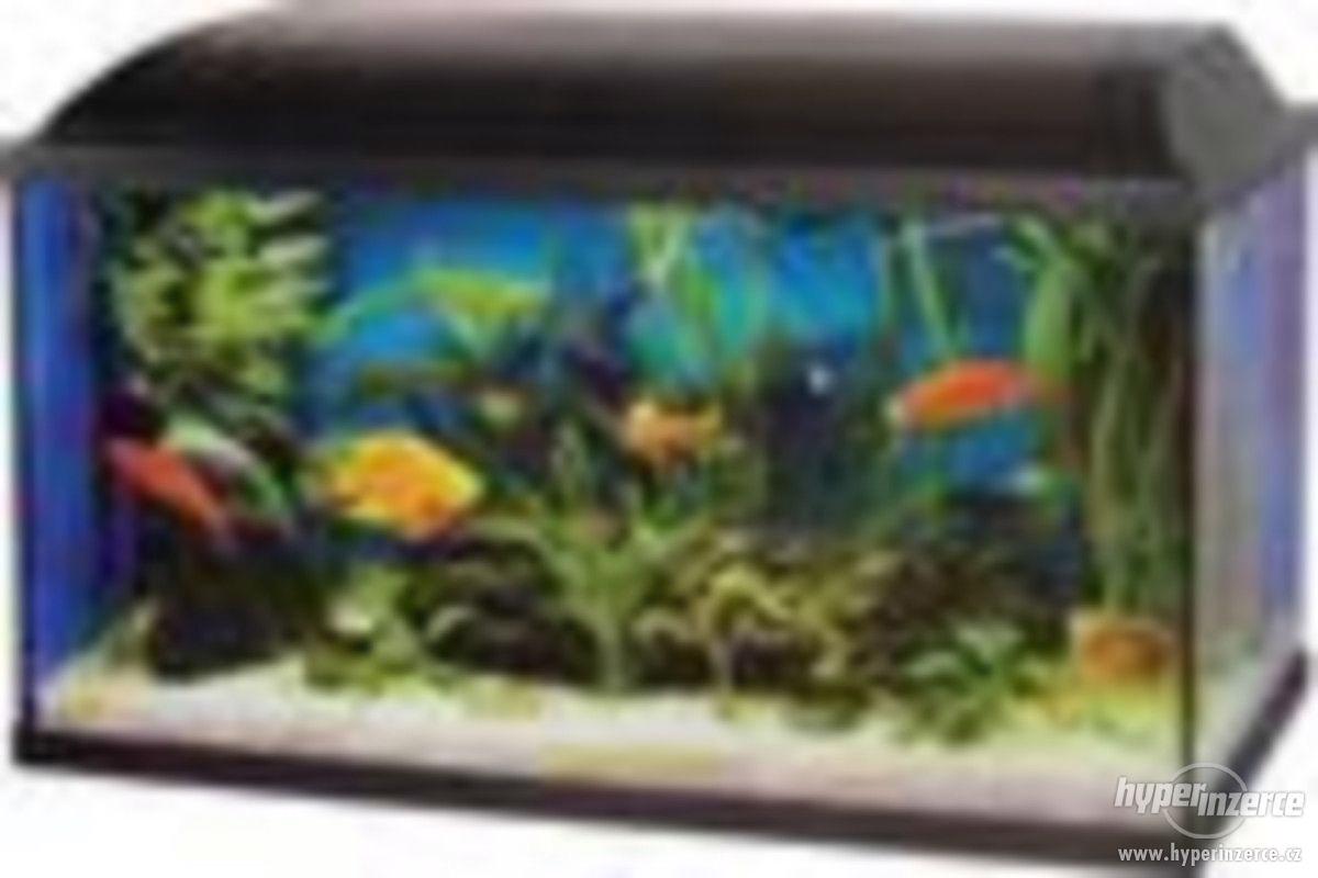 Nový akvarijní set 80cm- 96l -LED osvětlení - dovoz zdarma - foto 1