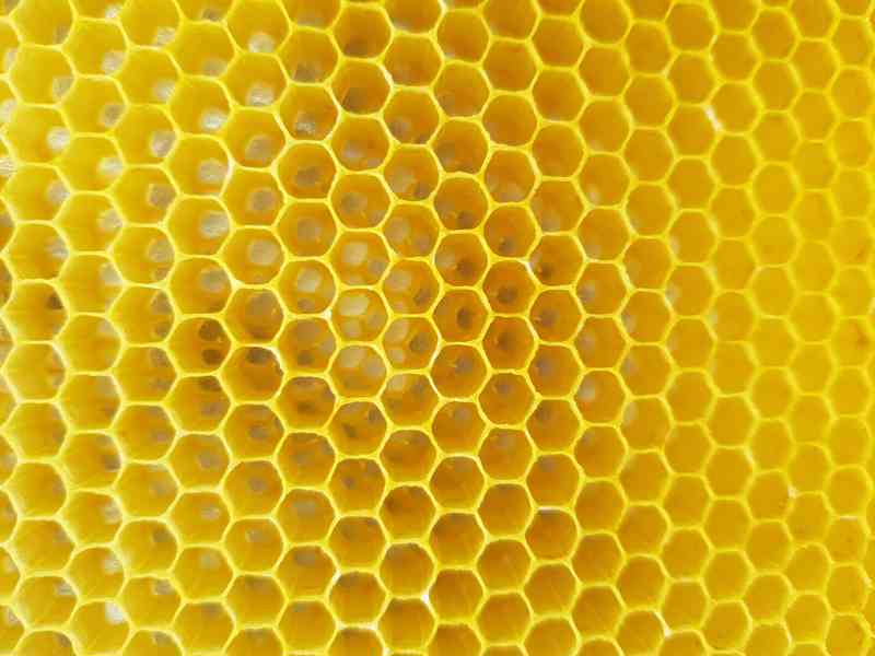 Včelí oddělky Langstroth 2/3, 6 rámků, 2026 - foto 6