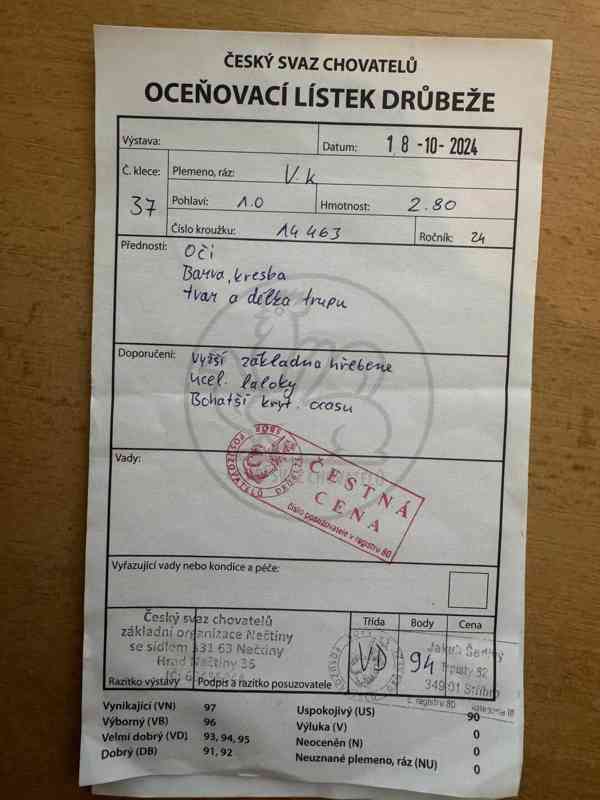 Vlaška koroptví - týdenní kuřata - foto 10