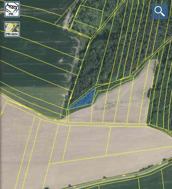 Lesní pozemek Lštění na Zubřinou - foto 5