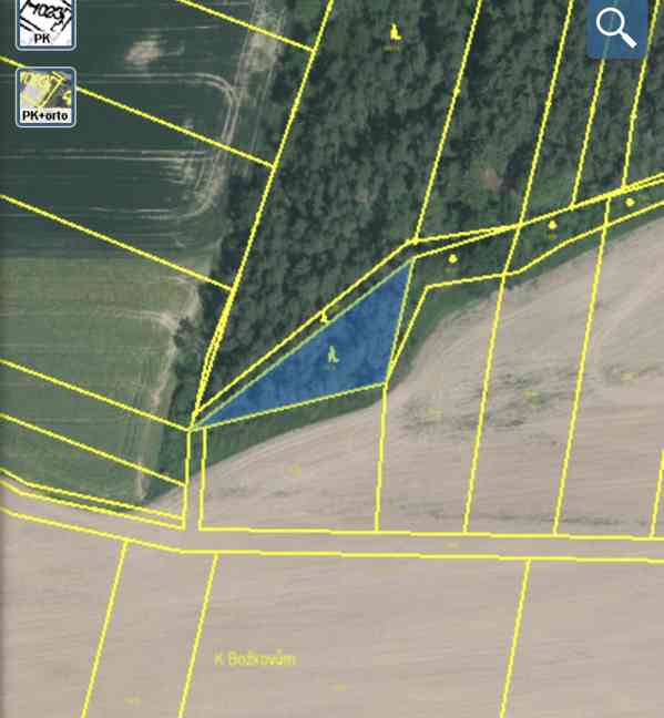 Lesní pozemek Lštění na Zubřinou - foto 4