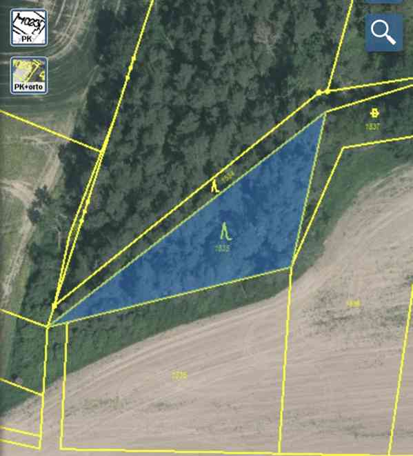 Lesní pozemek Lštění na Zubřinou - foto 3