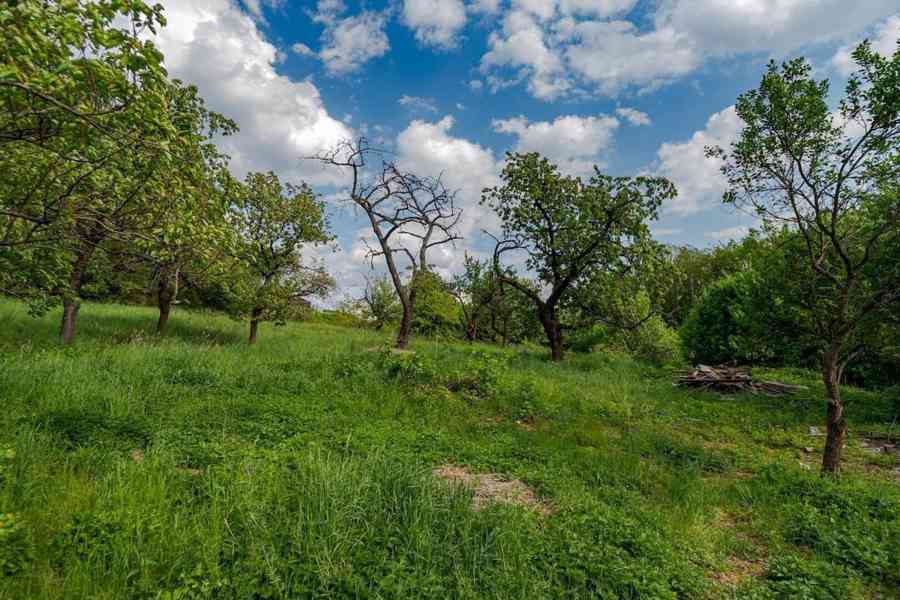 Stavební pozemek Veliny 1236m2 - foto 20