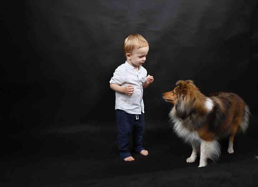 FOTOGRAFOVÁNÍ domácích mazlíčků - foto 3