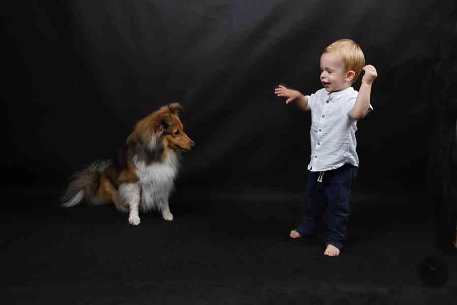 FOTOGRAFOVÁNÍ domácích mazlíčků - foto 2