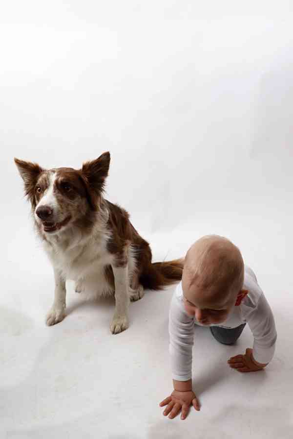 FOTOGRAFOVÁNÍ domácích mazlíčků - foto 8