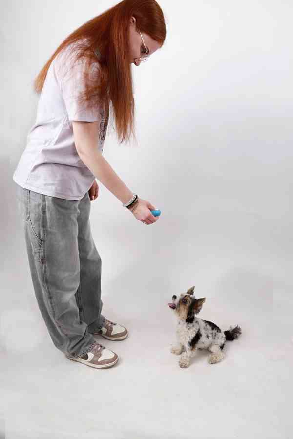 FOTOGRAFOVÁNÍ domácích mazlíčků - foto 11