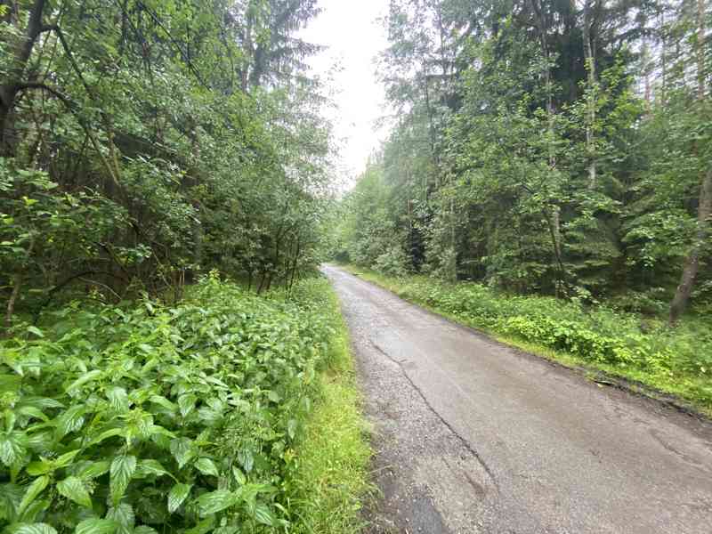 Pozemek ostatní plocha a lesní pozemek Svinky - foto 8