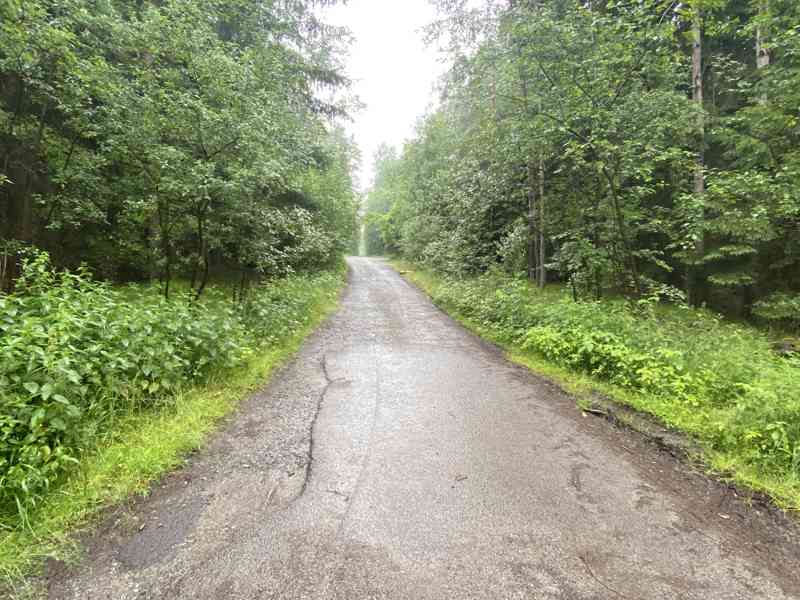 Pozemek ostatní plocha a lesní pozemek Svinky - foto 7