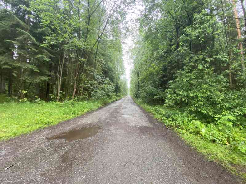 Pozemek ostatní plocha a lesní pozemek Svinky - foto 9