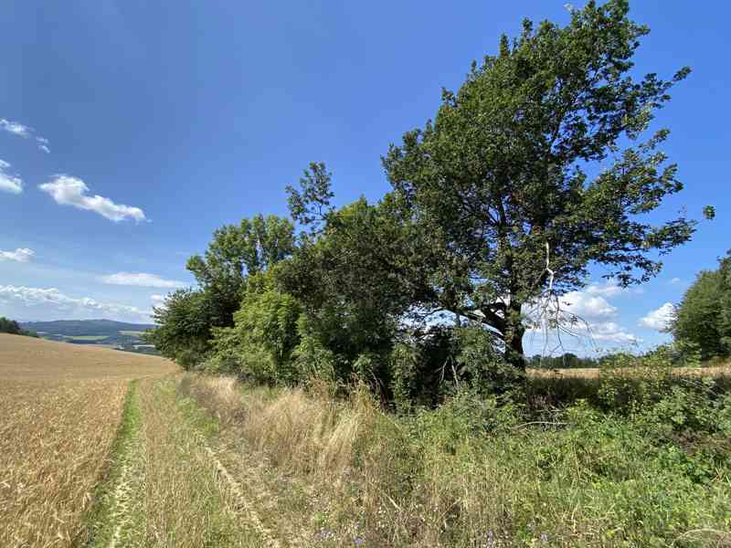 Pozemek ostatní plocha Libina - foto 8