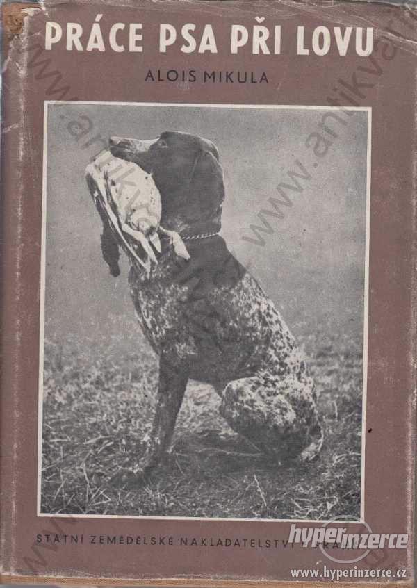 Práce psa při lovu Alois Mikula - foto 1