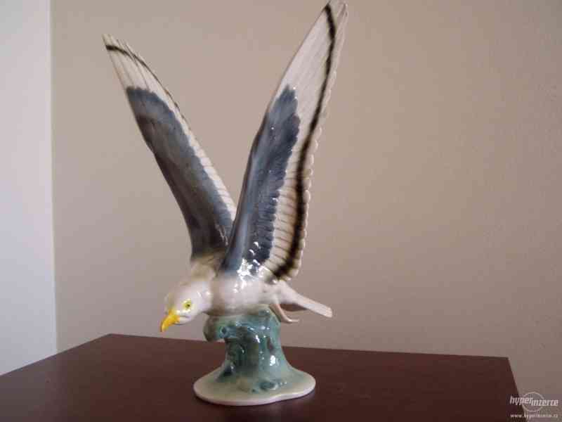 HERTWIG - ALBATROS - foto 1