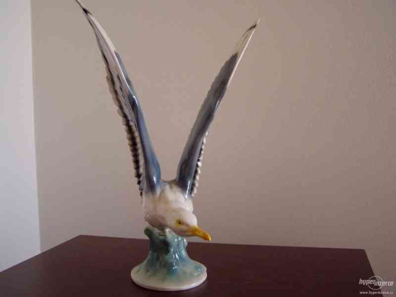 HERTWIG - ALBATROS - foto 2