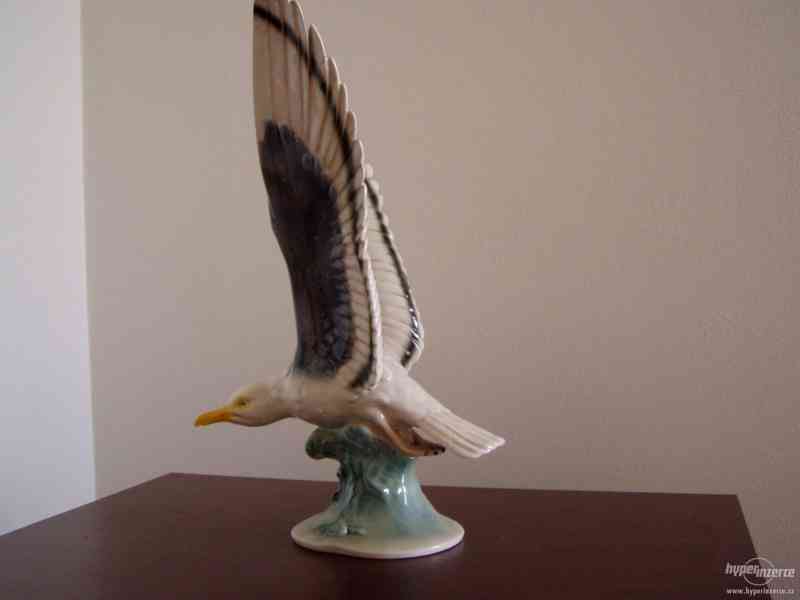 HERTWIG - ALBATROS - foto 3