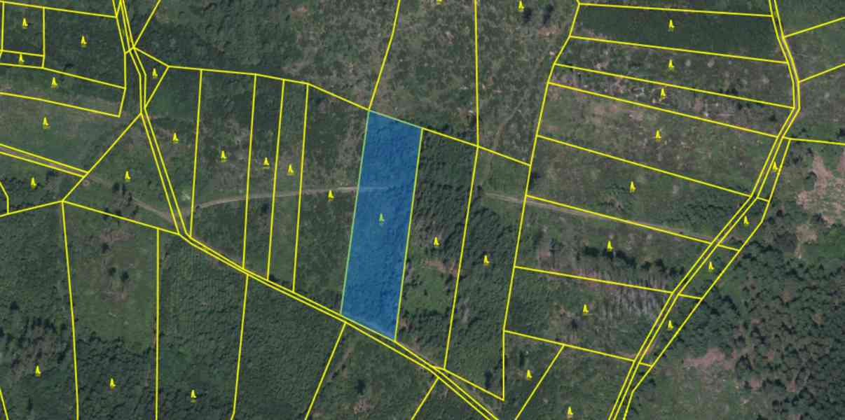 Lesní pozemek a ostatní plocha Buršice (Kolinec) - foto 14