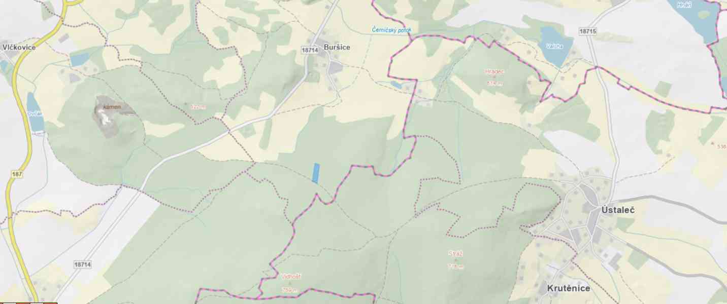 Lesní pozemek a ostatní plocha Buršice (Kolinec) - foto 16