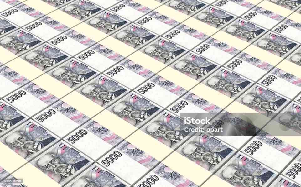 Finanční podpora pro firmy a podnikatele - foto 17