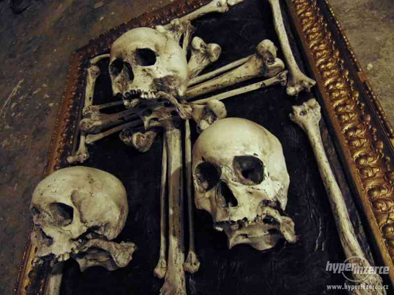 Lidské lebky a kosti jako dekorace a 3D obrazy - foto 3