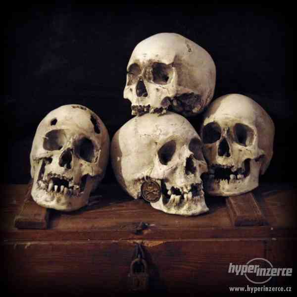 Lidské lebky a kosti jako dekorace a 3D obrazy - foto 7