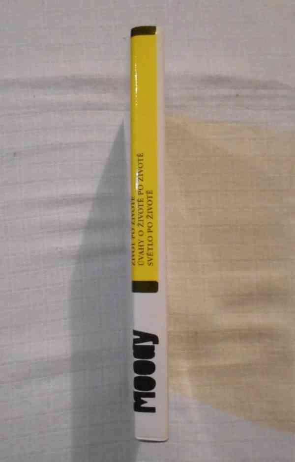 Moody Život po životě Úvahy o životě po životě Světlo po ž.. - foto 5