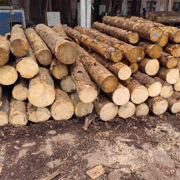 Timbars in Africa uganda 🇺🇬  for sale  - foto 5