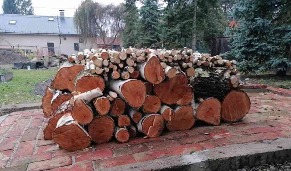 Timbars in Africa uganda 🇺🇬  for sale  - foto 12