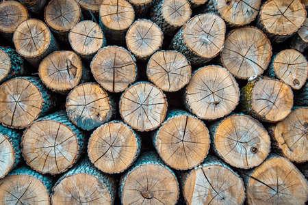 Timbars in Africa uganda 🇺🇬  for sale  - foto 8