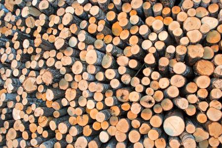 Timbars in Africa uganda 🇺🇬  for sale  - foto 9