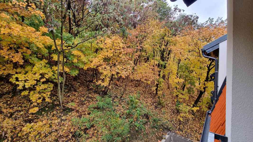 Pronájem bytu 2+kk, 40 m2 Michle výhled do lesa 2patro - foto 2