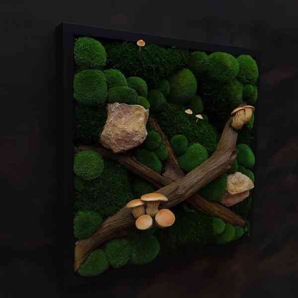 Mechový obraz / obraz ze stabilizovaného mechu - foto 2