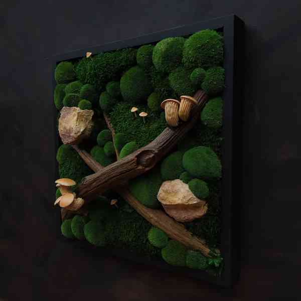 Mechový obraz / obraz ze stabilizovaného mechu - foto 3