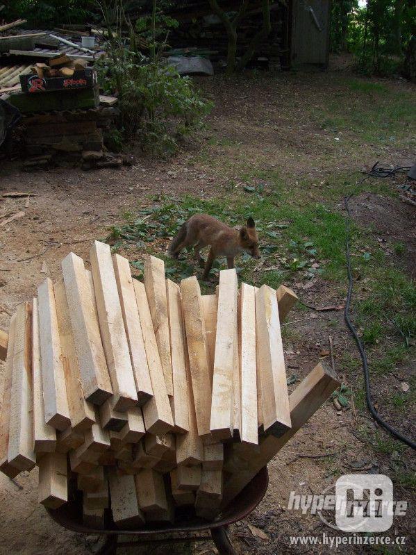 Lipové dřevo pro řezbáře,lípa na vyřezávání,řezbářské dřevo, - foto 2