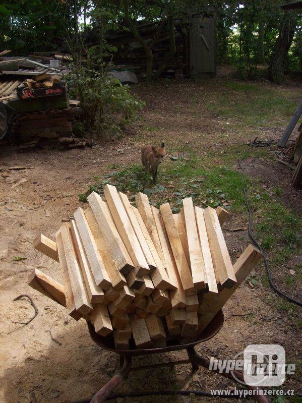 Lipové dřevo pro řezbáře,lípa na vyřezávání,řezbářské dřevo, - foto 5