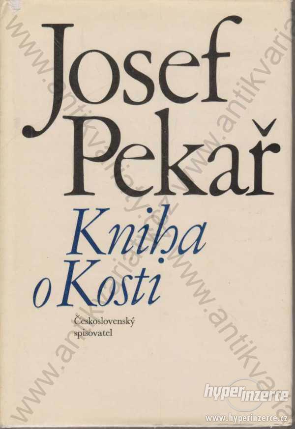 Kniha o Kosti Josef Pekař Kus české historie 1970 - foto 1