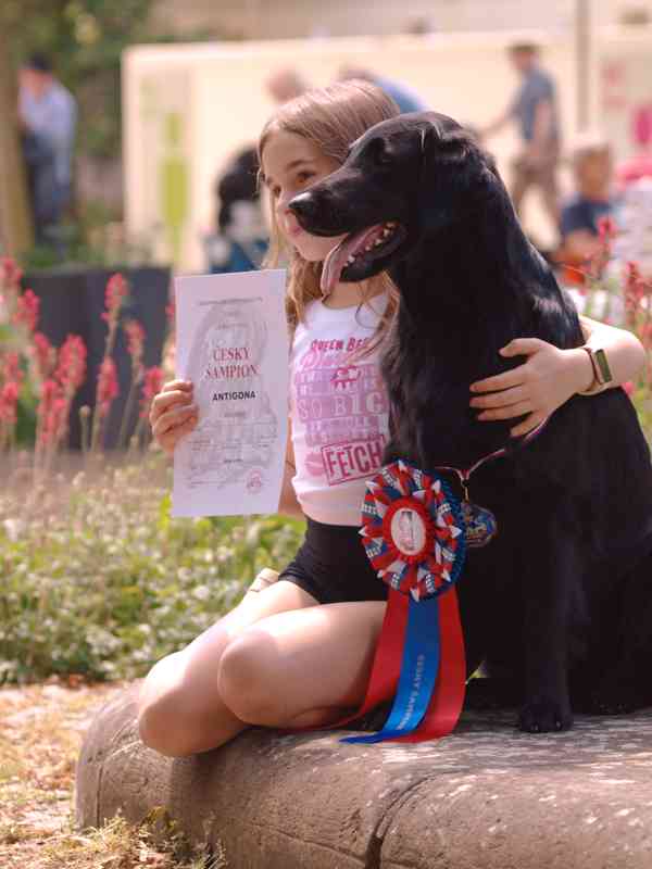 Flat Coated Retriever - nádherná štěňátka s PP k zadání - foto 3