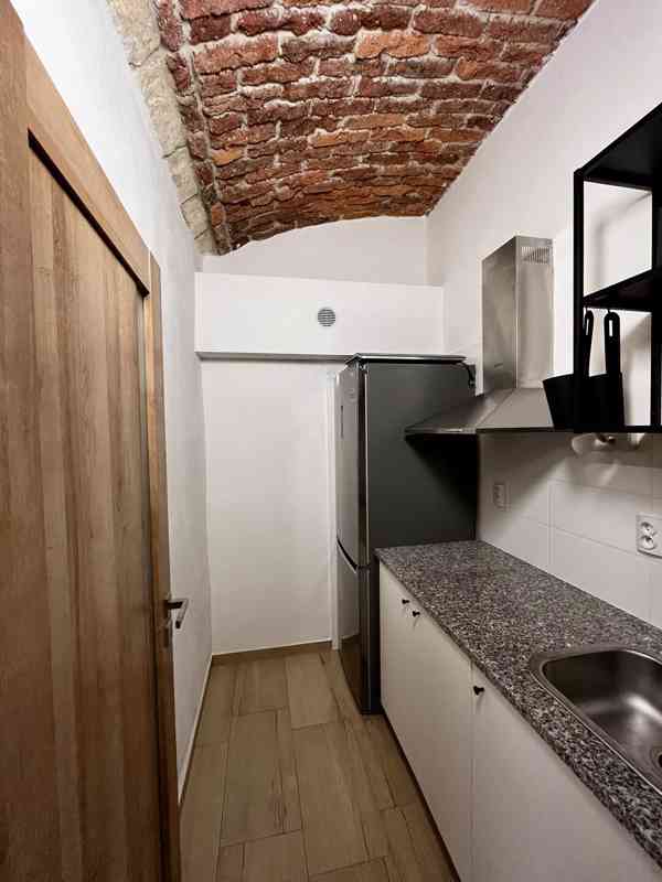 Nebytový prostor po rekonstrukci, Praha 2 Belgická  - foto 7