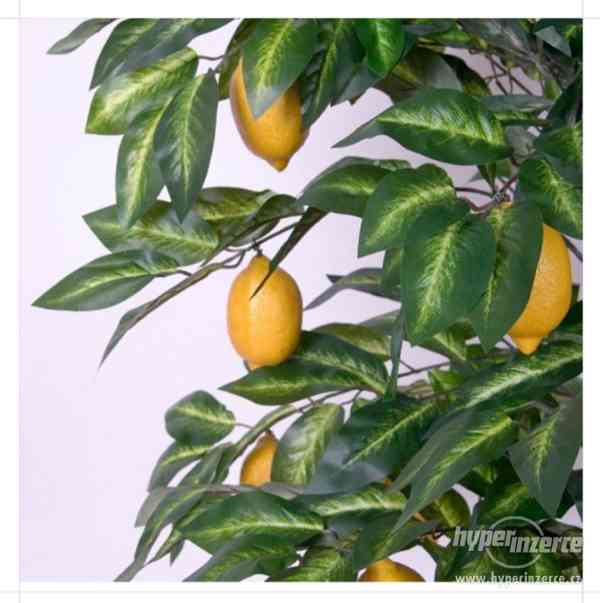 Umely strom - Citronovnik - foto 1