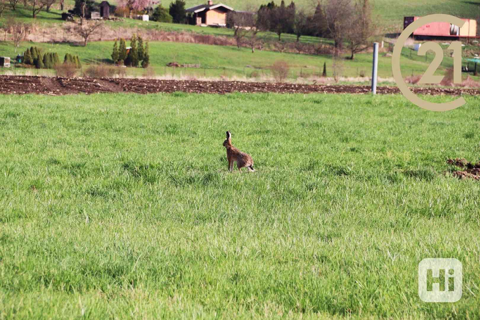 nabízí, prodej, pozemky pro bydlení Příbor - foto 5