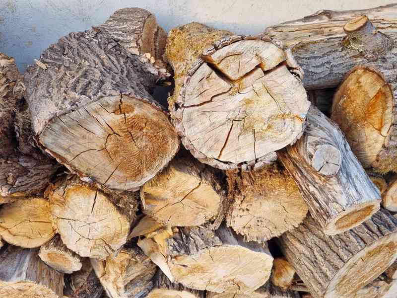 Prodám palivové dřevo - foto 2