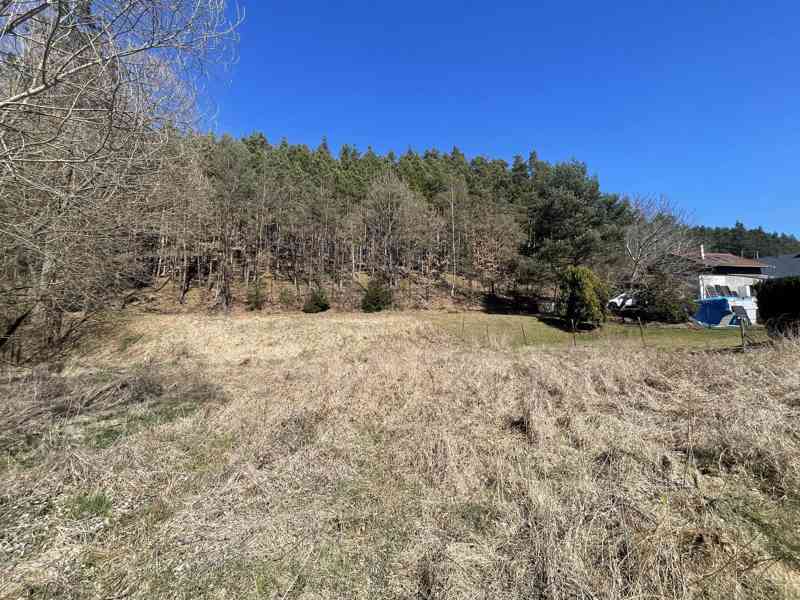 Prodej zahrady u Divišovského rybníka- Janovice - foto 12