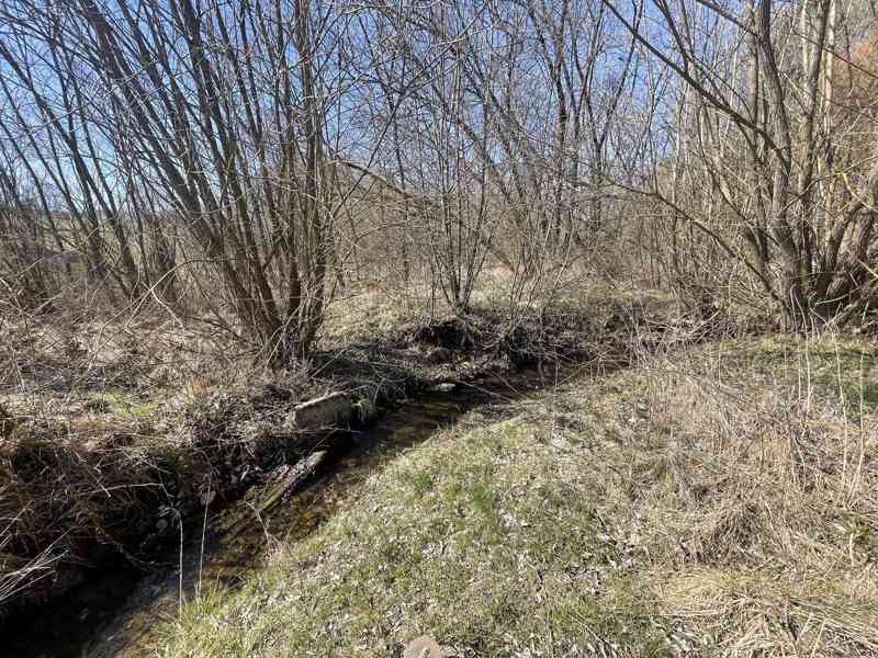 Prodej zahrady u Divišovského rybníka- Janovice - foto 13