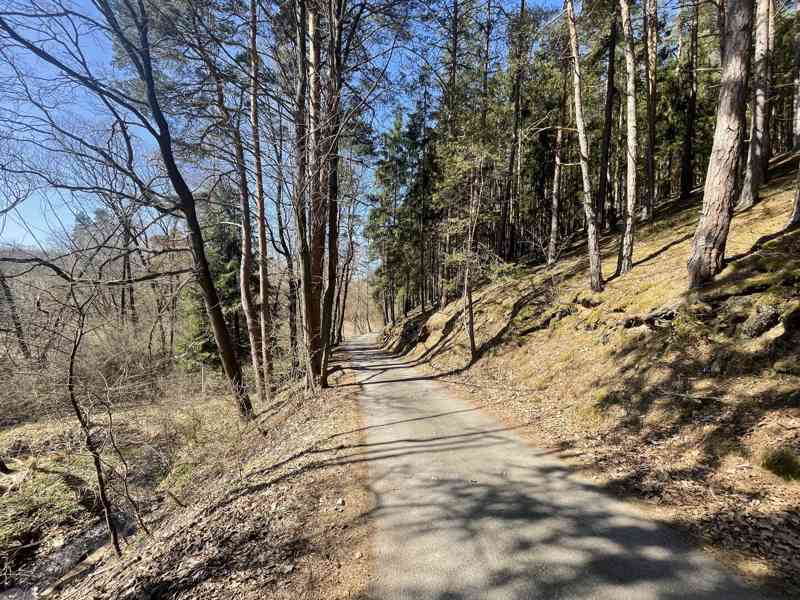 Prodej zahrady u Divišovského rybníka- Janovice - foto 3