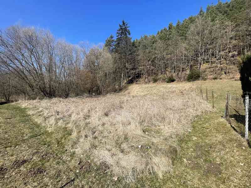 Prodej zahrady u Divišovského rybníka- Janovice - foto 14