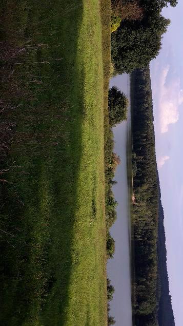 Prodej pozemku 5256m2 Cetnov u přehrady Skalka - foto 1